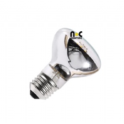 No shadow R63 LED filament bulb 4W 6W clear frosted brown